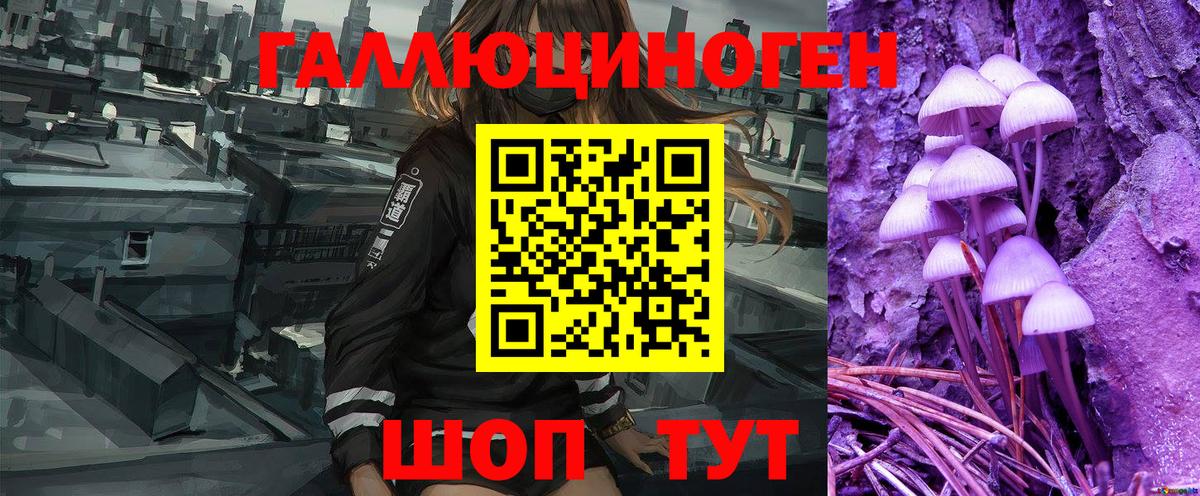 Майский  Галлюциногенные грибы Psilocybe  Вход с VPN 