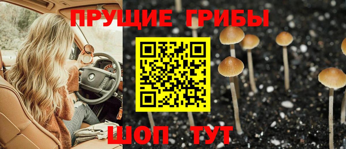Галлюциногенные грибы мухоморы Майский